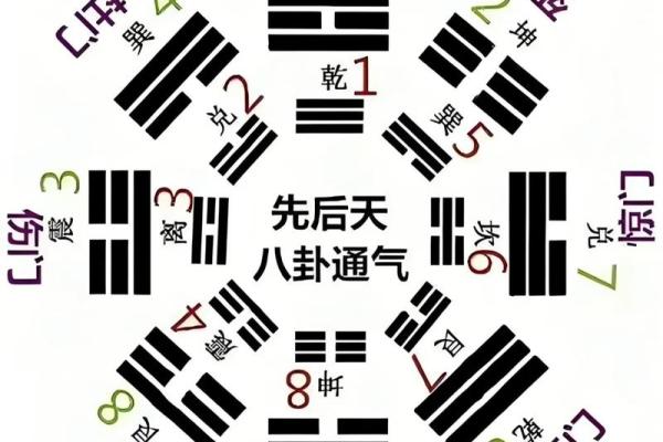 探索奇门命理与八字命理的奥秘，揭示命运的秘密！