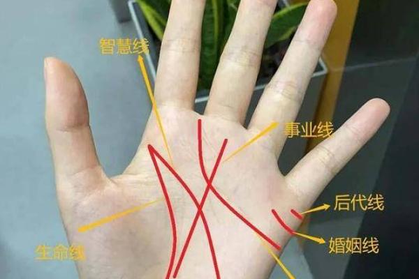 揭秘手相：如何通过手掌分辨命运与性格