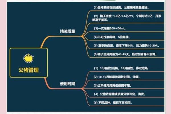 猪水命适合的工作与职业发展之路探究