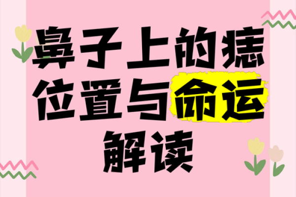 鼻梁中间突出，命运的暗示与人生的秘密