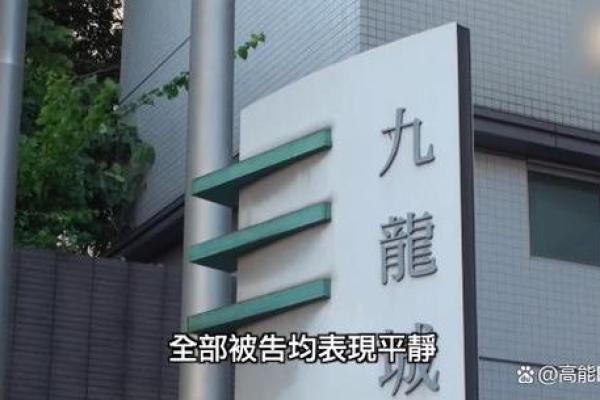 蔡天凤命格解析：揭示她身上的神秘符号与命运轨迹