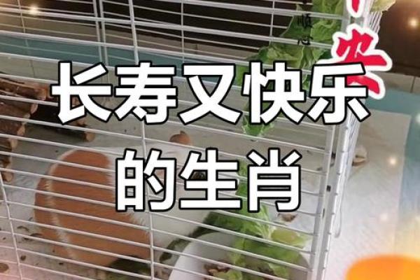 长寿之秘：探寻长寿百命的生肖有何奥秘？