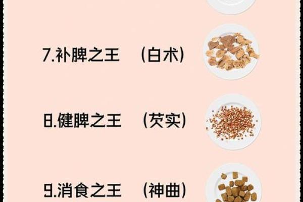 揭开木命之人的命名奥秘：如何选择与之相符的名字？