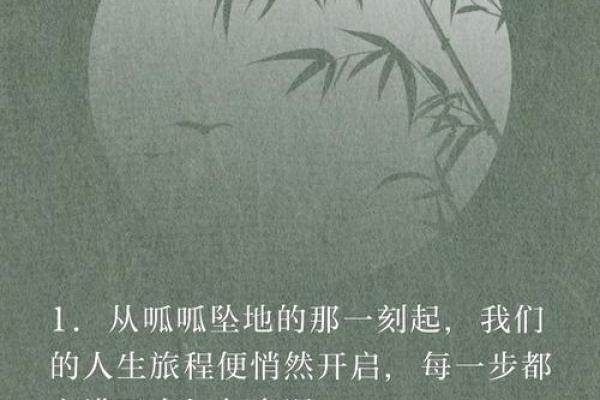 解密1977年出生者的命格与人生轨迹