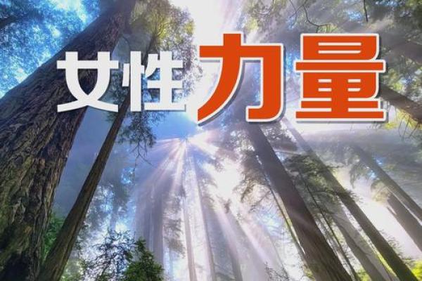 探索未来的命运：揭示生命中的可能性与选择