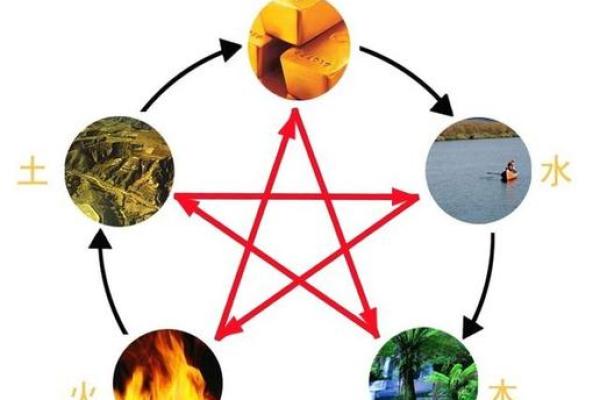 木命克土命的奥秘：揭示五行之间的神秘关系