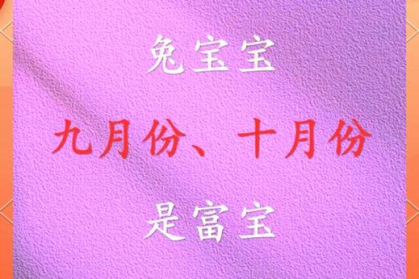 兔年宝宝命格解析：聪慧与柔韧的完美结合