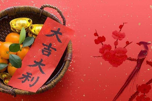 兔年宝宝命格解析：聪慧与柔韧的完美结合