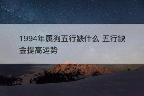 属狗人的火命分析：如何选择最适合的火命提升运势？