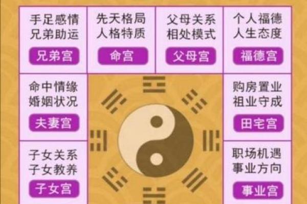 根据命理缺失，揭示最吉利的数字与生活方向！