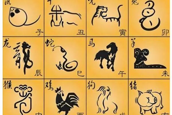探寻一九七九年出生者的命理秘密与属相解析