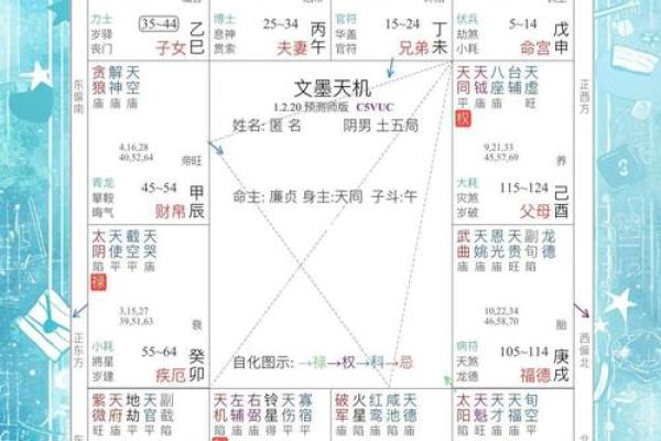 紫薇命盘中的七杀：解读其深层意义与影响力