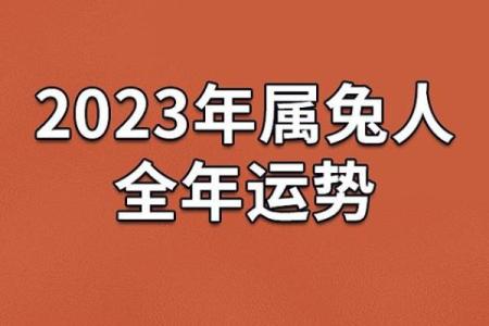 1987年出生的属兔人，他们的命运与人生规划
