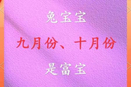 兔年宝宝命格解析：聪慧与柔韧的完美结合
