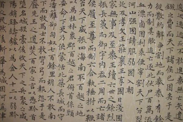 探寻《委命下吏》中“命”的深厚意义与人生启示