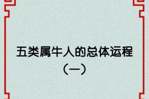 2009年牛是属何命？探寻牛年的命理与性格特点