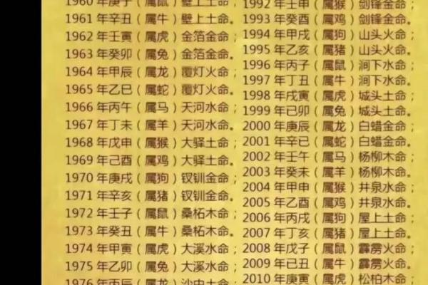 龙命男孩的命格解析：神秘与活力的结合之旅