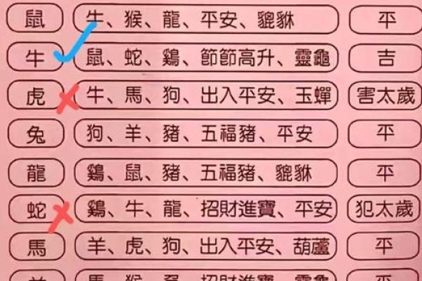 一九五三年属什么命？解读这一年出生者的命运与性格特征