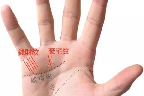 掌纹乱的人命运解析：你是否属于命理中的“特例”？