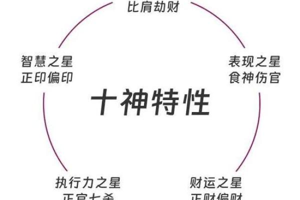 解密1965年出生的马年命格：性格、职业与运势解析