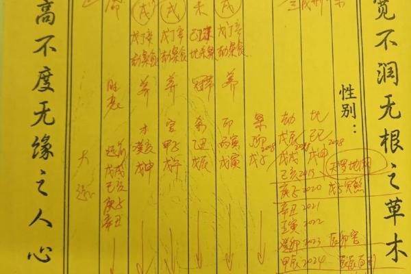 土命人的缺失与补救：深度解析土命人的五行特征