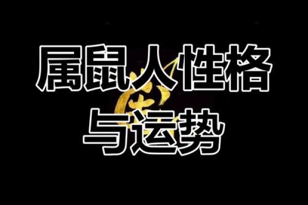 属鼠1960年出生的人命运解析与生活智慧