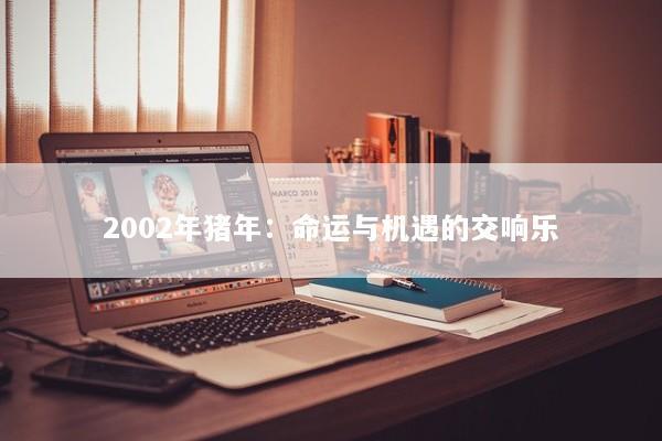 2002年猪年：命运与机遇的交响乐