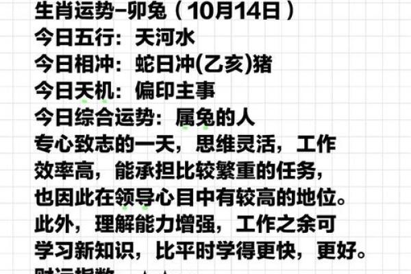 2023年属兔孩子的命运解析：如何为他们创造更好的未来？
