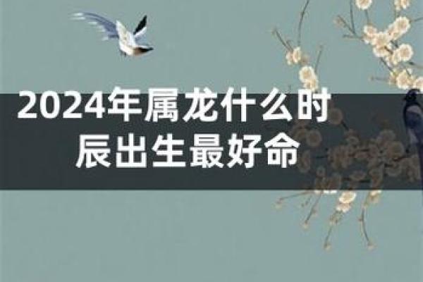 龙年出生者的命运解析：生肖龙的特点与人生道路
