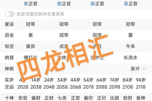 龙年出生者的命运解析：生肖龙的特点与人生道路