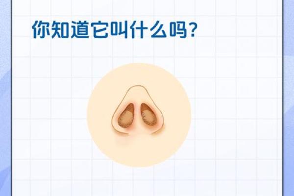 男人露鼻孔的命运解读：你的鼻孔透露了哪些秘密？