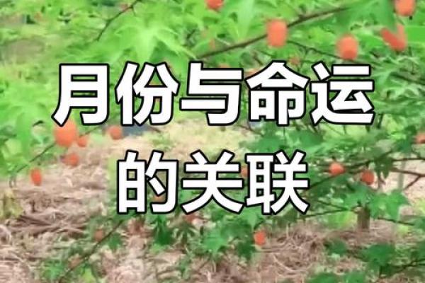 解析农历冬月三十出生者的命运特征与人生走向