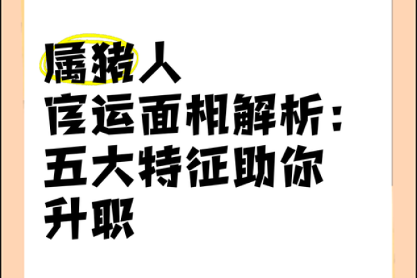2020年属猪人的命运解析：财富、爱情与事业的多重探寻