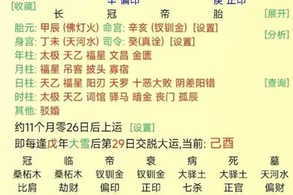 1887年出生的猪年命运解析：富贵与机遇的启示