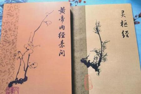 探索“帝皇之命”的命格之谜：古代智慧与现代解读