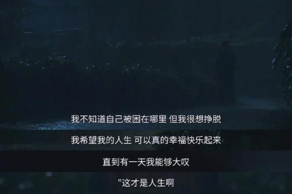 命运多舛，坎坷人生的深层解读与自我救赎