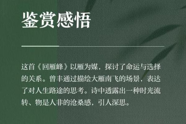 指纹与生命的奥秘：没有螺的命运探寻