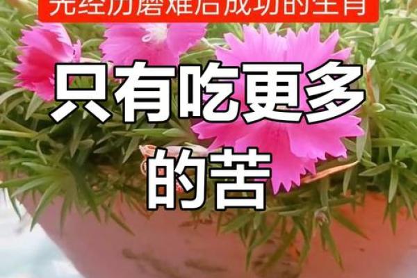 生于这些生肖，命运难逆转，生活多艰辛！