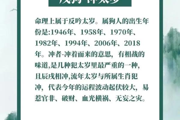 1982年狗年水命的命理解析与补充建议