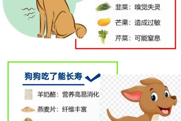 1982年狗年水命的命理解析与补充建议