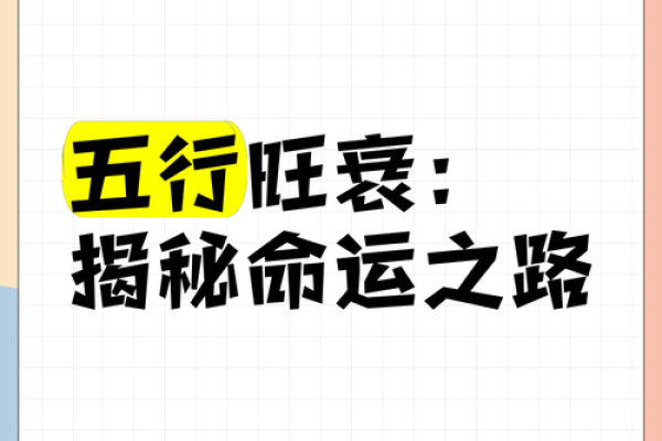 2005年属什么命？探索命理与人生之路的奥秘