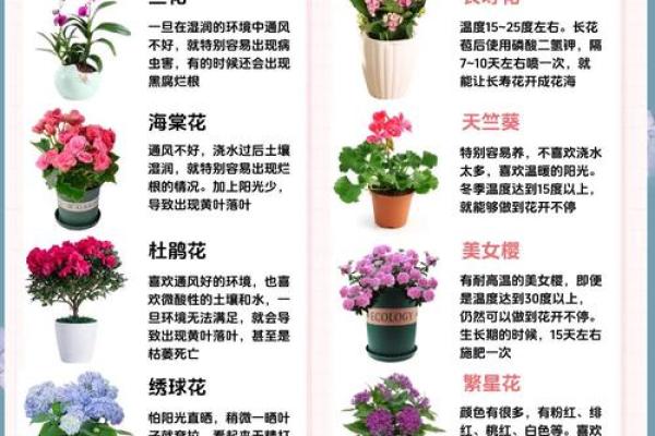 什么花都养活的人是什么命：花语人生的秘密探讨