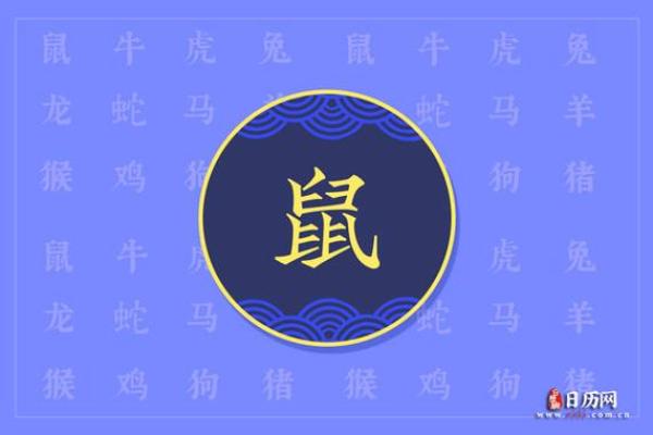 属鼠1996年出生者的命运：为你揭示命理的奥秘与生活智慧