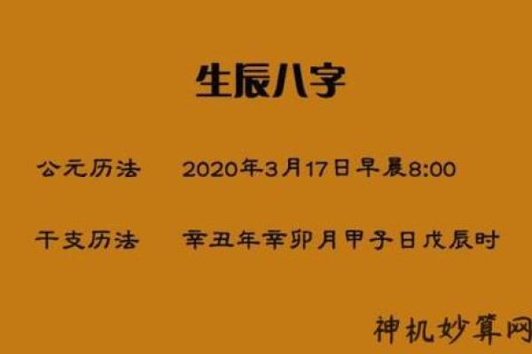 丑时猴子命运解析：揭开命理背后的神秘面纱