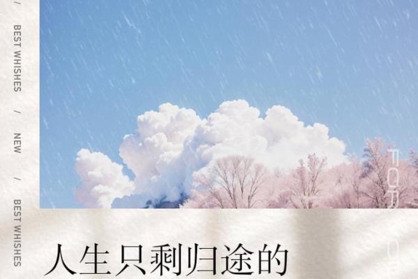 1833年出生的人命运解析：神秘的命理与人生旅途