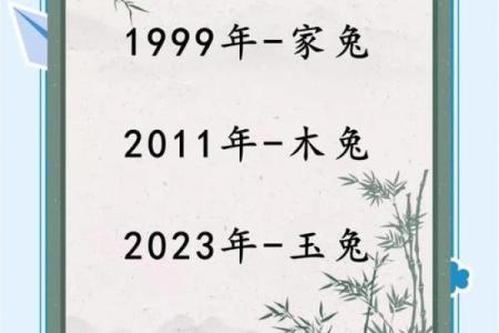 1999年木兔命解析：如何充分发挥木兔的独特魅力与优势