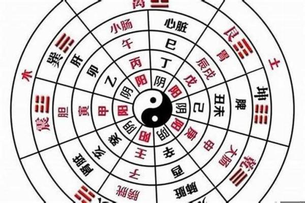 探寻命理的奥秘：男命阳年与女命阴年背后的深意