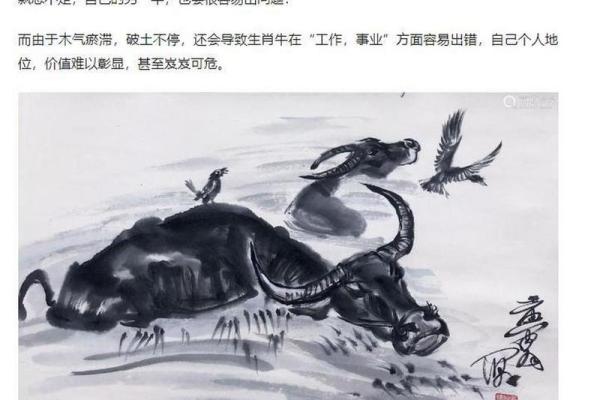 74属牛的命理解析：从生肖看人生机遇与挑战