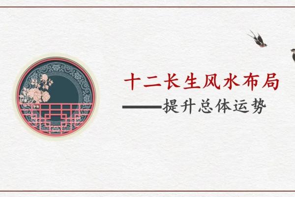 丙申年酉时出生的人生命解析与运势剖析！