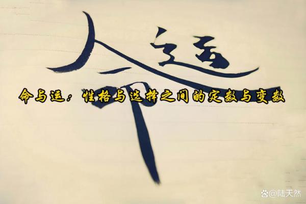 2000年出生的朋友：你的命运与性格解析